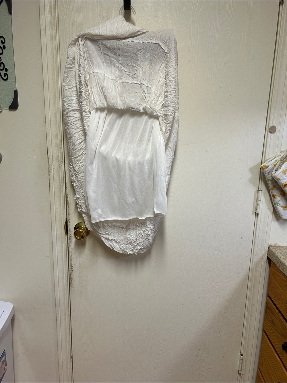 Skirt Subcategory Classification - Picture 4 of 4